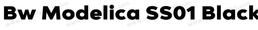 Bw Modelica SS01 Black字体转换